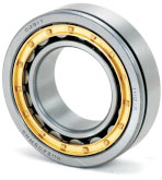 Cylindrical Roller Bearing